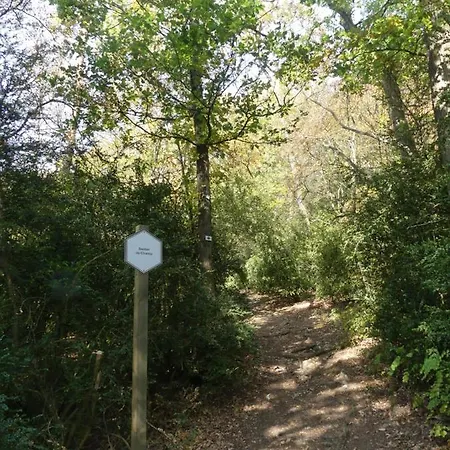 Au Repaire Des Ecureuils Domek alpejski Waulsort