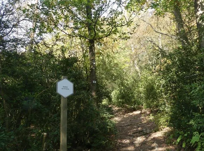 Au Repaire Des écureuils Chalet Waulsort